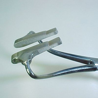 Adult Stone Wing (Size 10)