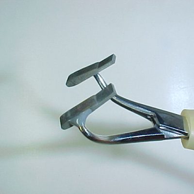 Adult Stone Wing (Size 16)