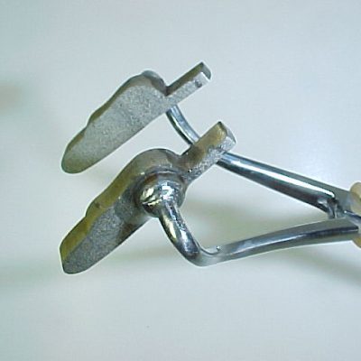 Adult Stone Spent Wing (Size 6)