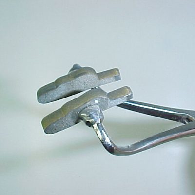 Adult Stone Spent Wing (Size 10)