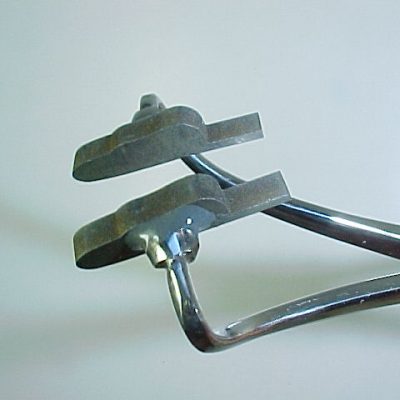 Adult Stone Spent Wing (Size 12)