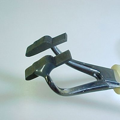 Adult Stone Spent Wing (Size 14)