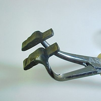 Adult Stone Spent Wing (Size 16)