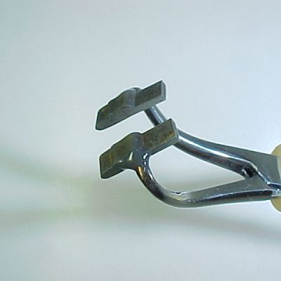 Adult Stone Spent Wing (Size 18)