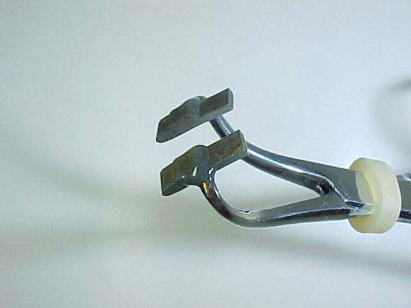 Adult Stone Spent Wing (Size 18)