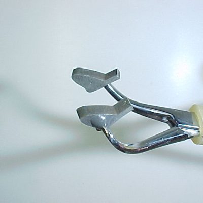 May Fly Wing (Size 20)