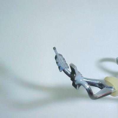 Stone Nymph Body (Size 14)