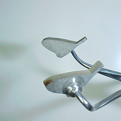 May Fly Wing (Size 12)
