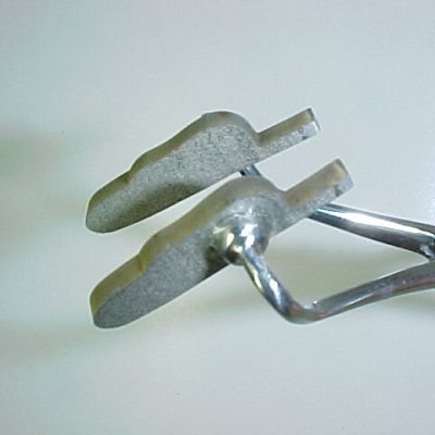Adult Stone Spent Wing (Size 4)